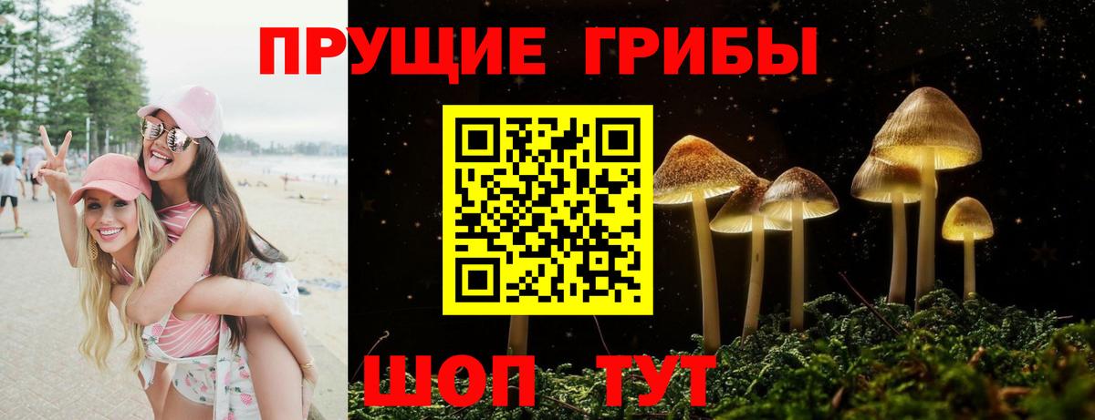 Псилоцибиновые грибы мухоморы Ноябрьск